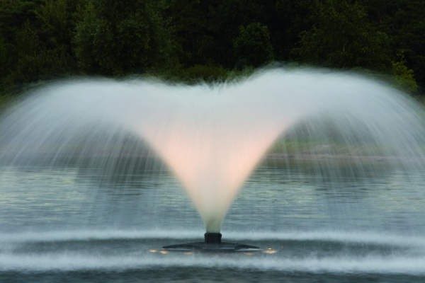 Laat je zien verfrommeld Vaderlijk Aquamaster LED lampen