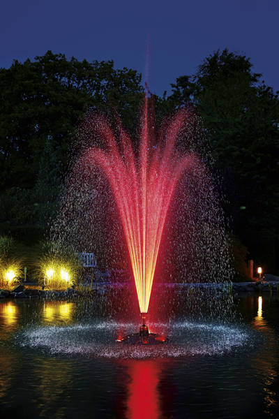 zwak Goneryl vanavond LED lampen voor pondjet